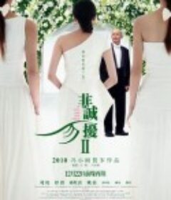 非诚勿扰2            (2010)