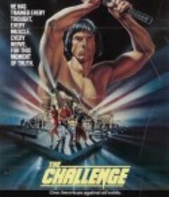 挑战赛 The Challenge            (1982)
