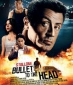 赤警威龙 Bullet to the Head            (2012)