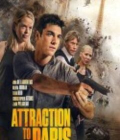 灭证大追杀 Attraction to Paris            (2020)