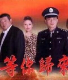等你归来            (2001)