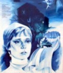 合法婚姻 Законный брак            (1986)