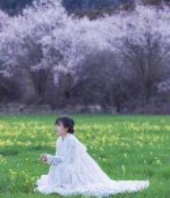 李子柒古香古食            (2017)