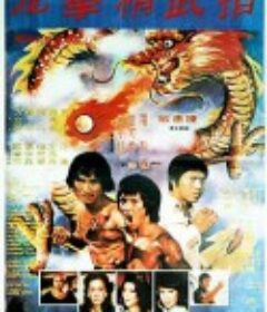 龙门秘指 龍門秘指            (1976)