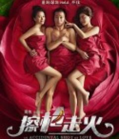 擦枪走火            (2015)