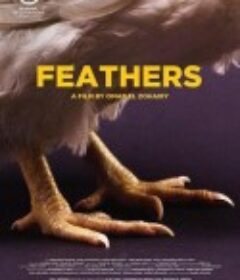 羽毛 ريش            (2021)