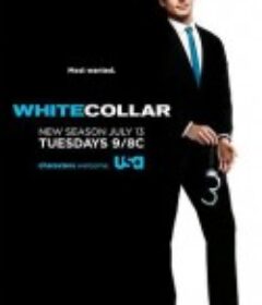 妙警贼探  第二季 White Collar Season 2            (2010)