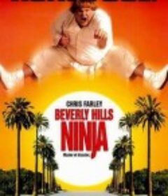比佛利武士 Beverly Hills Ninja            (1997)