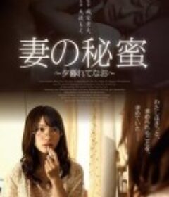 妻子的秘蜜 妻の秘蜜 ~夕暮れてなお~            (2017)