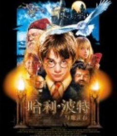 哈利·波特与魔法石 Harry Potter and the Sorcerer's Stone            (2001)