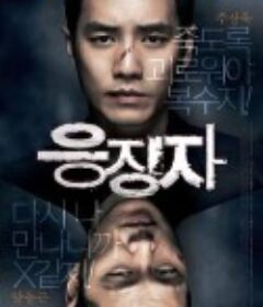 惩戒者 응징자            (2013)