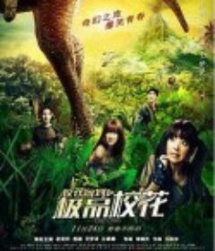 校花驾到之极品校花            (2014)