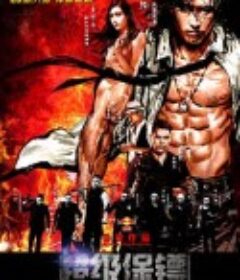 超级保镖            (2016)