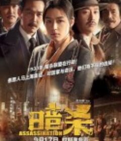 暗杀 암살            (2015)
