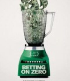 零股价 Betting On Zero            (2016)