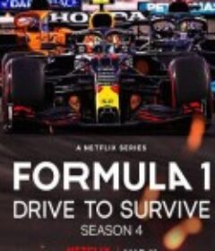 一级方程式：疾速争胜 第四季 Formula 1: Drive to Survive Season 4            (2022)