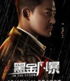 黑金风暴 黑金風暴            (2022)