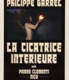 内心的伤痕 La cicatrice intérieure            (1972)