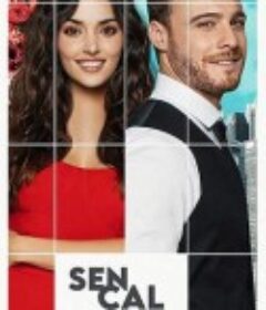 轻叩心扉 Sen Çal Kapımı            (2020)