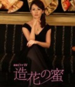 造花之蜜 造花の蜜            (2011)