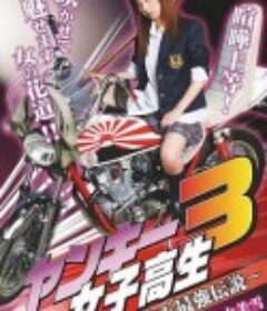 不良女高中生3：埼玉最強传说 ヤンキー女子高生3~埼玉最強伝説~            (2010)