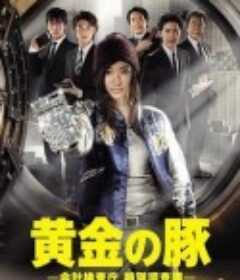 黄金猪 黄金の豚-会計検査庁 特別調査課-            (2010)