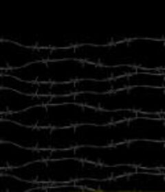 我们的青春，在台湾 (2018)