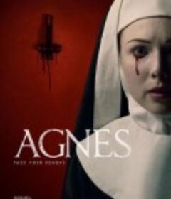 阿格尼斯 Agnes            (2021)