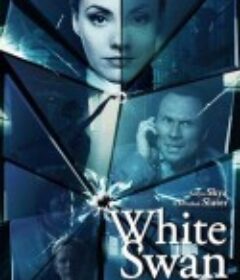 刺客逃亡 Assassins Run            (2013)