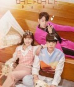 Calming signal 汪喵汪喵 카밍시그널 멍냥멍냥            (2022)