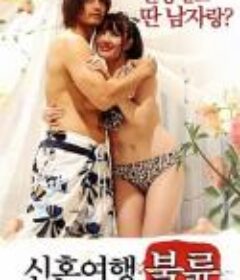 新婚旅行：不伦 신혼여행 : 불륜            (2017)