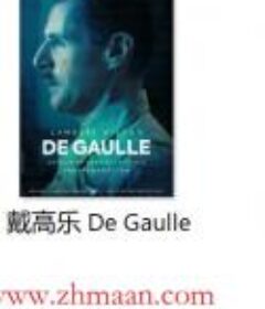 20世纪政坛强人 传记电影专辑 枝蔓精选之一