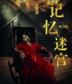 记忆迷宫            (2023)