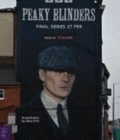 浴血黑帮 第六季 Peaky Blinders Season 6            (2022)