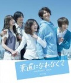 无法坦诚相对 素直になれなくて            (2010)