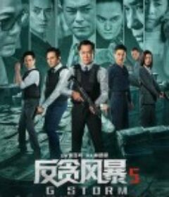 反贪风暴5：最终章 G風暴            (2021)