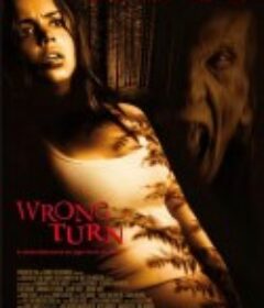 致命弯道 Wrong Turn            (2003)