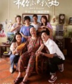 带你去见我妈            (2022)