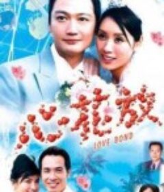 心花放            (2005)