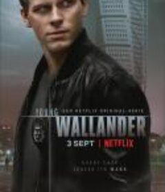 青年维兰德 第二季 Young Wallander Season 2            (2022)