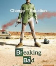 绝命毒师 第一季 Breaking Bad Season 1            (2008)