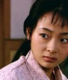 谁家有女            (2008)