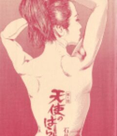 天使心肠之红色教室 天使のはらわた 赤い教室 (1979)