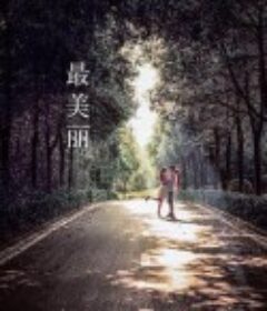 最美丽            (2020)
