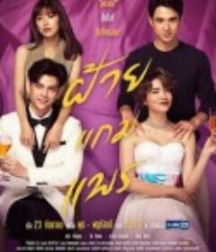 偷龙转凤 ฝ้ายแกมแพร            (2020)