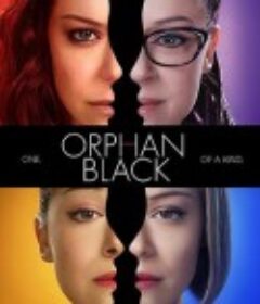 黑色孤儿 第三季 Orphan Black Season 3            (2015)