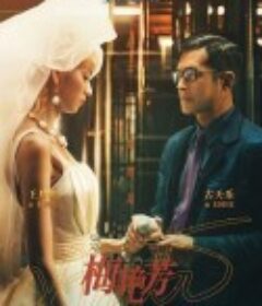 梅艳芳 梅艷芳            (2021)