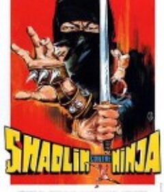 少林与忍者 少林與忍者            (1983)