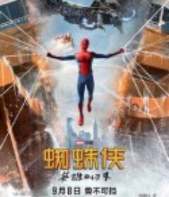 蜘蛛侠：英雄归来 Spider-Man: Homecoming            (2017)