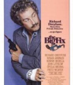 终极执行令 The Big Fix            (1978)